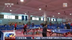 世界杯官网 乒乓球台面什么材料好